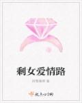 剩女爱情路章节列表