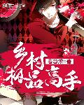 乡村极品高手章节列表