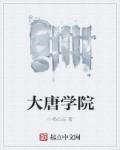 大唐学院章节列表
