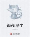 银夜星尘章节列表
