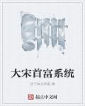 大宋首富系统章节列表