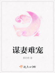 谋妻难宠章节列表