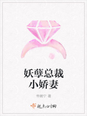 妖孽总裁小娇妻章节列表