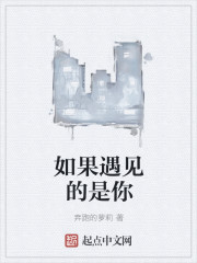 如果遇见的是你章节列表