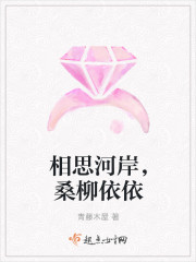 相思河岸，桑柳依依章节列表