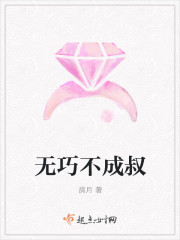 无巧不成叔章节列表