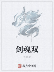 剑魂双章节列表