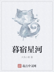 暮宿星河章节列表
