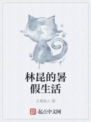 林昆的暑假生活章节列表
