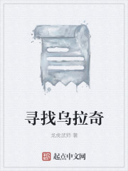 寻找乌拉奇章节列表
