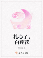 扎心了，白莲花章节列表