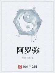 阿罗弥章节列表