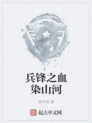 兵锋之血染山河章节列表
