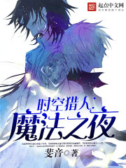 时空猎人：魔法之夜章节列表