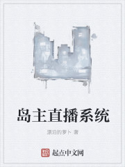 岛主直播系统章节列表
