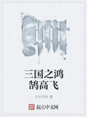 三国之鸿鹄高飞章节列表