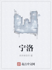 宁洛章节列表