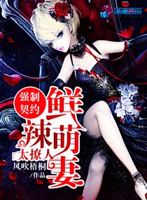 星际宠婚之恶魔萌妻章节列表