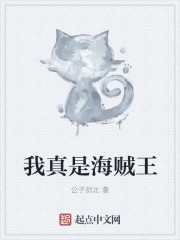 我真是海贼王章节列表