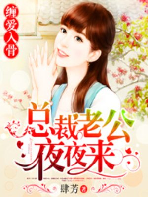 总裁老公夜夜来章节列表