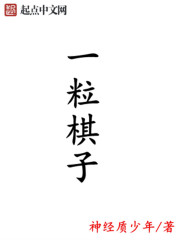 一粒棋子章节列表