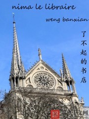 缀以繁星的书店章节列表