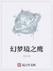 幻梦境之鹰章节列表