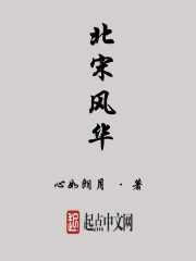 北宋风华章节列表