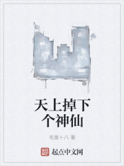 天上掉下个神仙章节列表