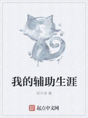 我的辅助生涯章节列表