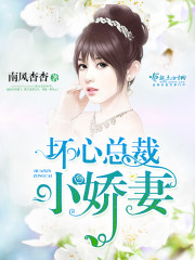 坏心总裁小娇妻章节列表