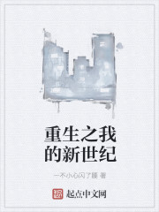 重生之我的新世纪章节列表