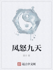 凤怒九天章节列表