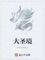 大圣境章节列表