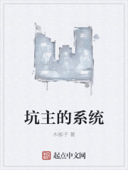 坑主的系统章节列表