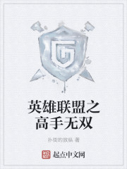 英雄联盟之高手无双章节列表