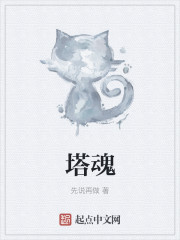塔魂章节列表