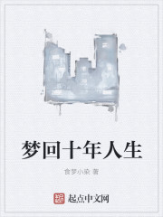 梦回十年人生章节列表