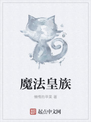魔法皇族章节列表