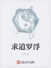 求道罗浮章节列表