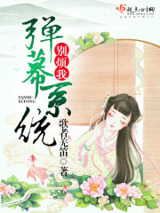弹幕系统别烦我章节列表