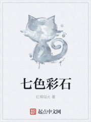 七色彩石章节列表