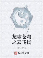 龙啸苍穹之云飞扬章节列表