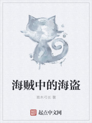 海贼中的海盗章节列表