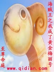 海贼王之我成了黄金梅丽号章节列表