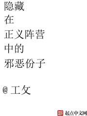 隐藏在正义阵营中的邪恶份子章节列表