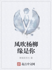风吹杨柳缘是你章节列表