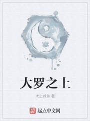 大罗之上章节列表