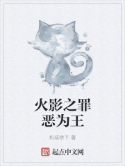 火影之罪恶为王章节列表