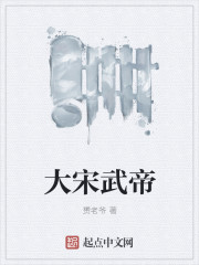大宋武帝章节列表